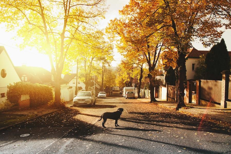 why-invest-in-temporary-neighborhood-security-cameras